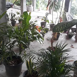 https://kandy-fortress.negombohotels.net